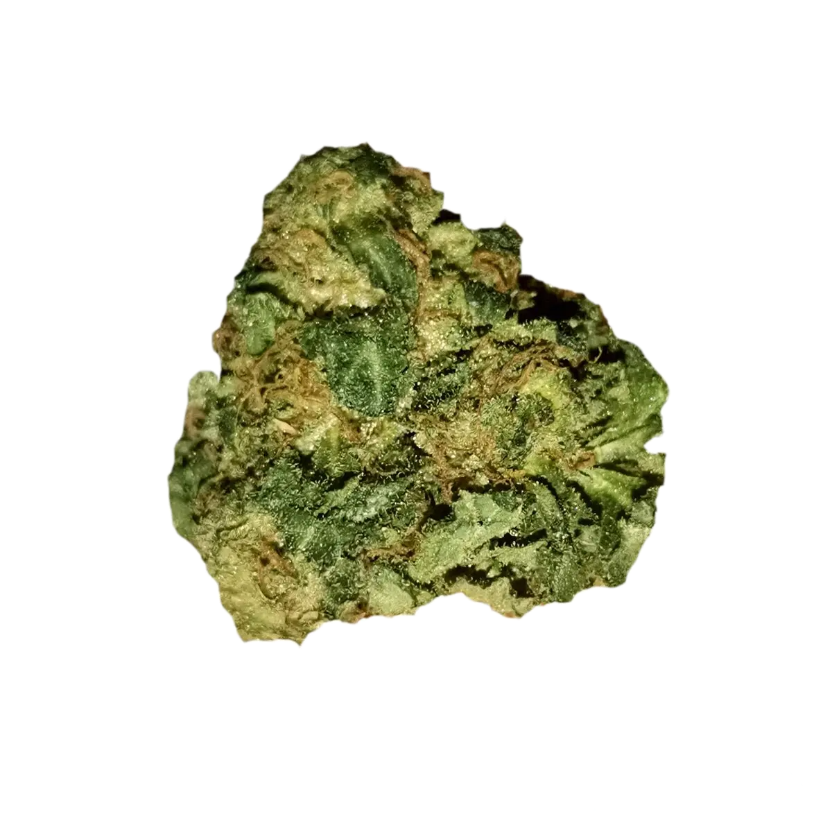 Bathera 28/1 FA Facetz